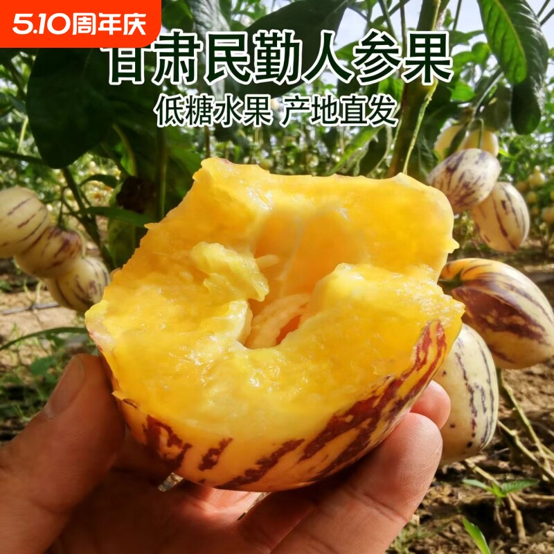 甘肃民勤人参果新鲜黄肉正宗水果孕妇宝宝应季果包邮