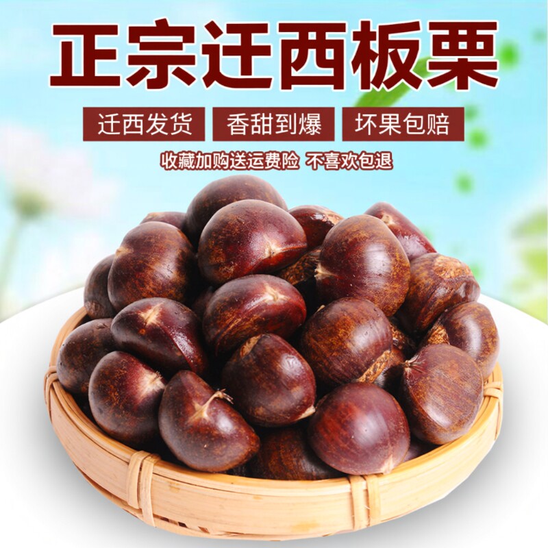 正宗迁西板栗生新鲜河北栗子大板栗唐山毛板栗燕山小油栗板粟