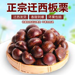 正宗迁西板栗生新鲜河北栗子大板栗唐山毛板栗燕山小油栗板粟