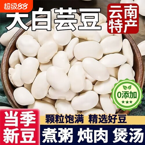 热卖中云南大白芸豆饱满大颗粒煲汤煮粥炖肉新货批发大粒杂粮