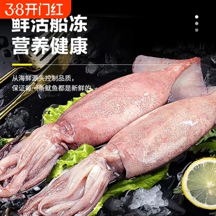 大鱿鱼新鲜冷冻新鲜枪乌贼冷冻海鲜水产烧烤食材原料生鲜鱿鱼冷冻