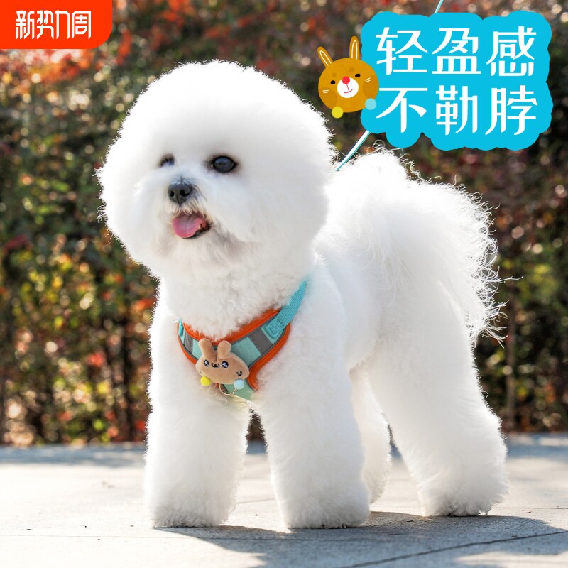 狗狗牵引绳胸背带可调节轻便不勒脖小体犬幼犬专用遛狗绳可爱小熊