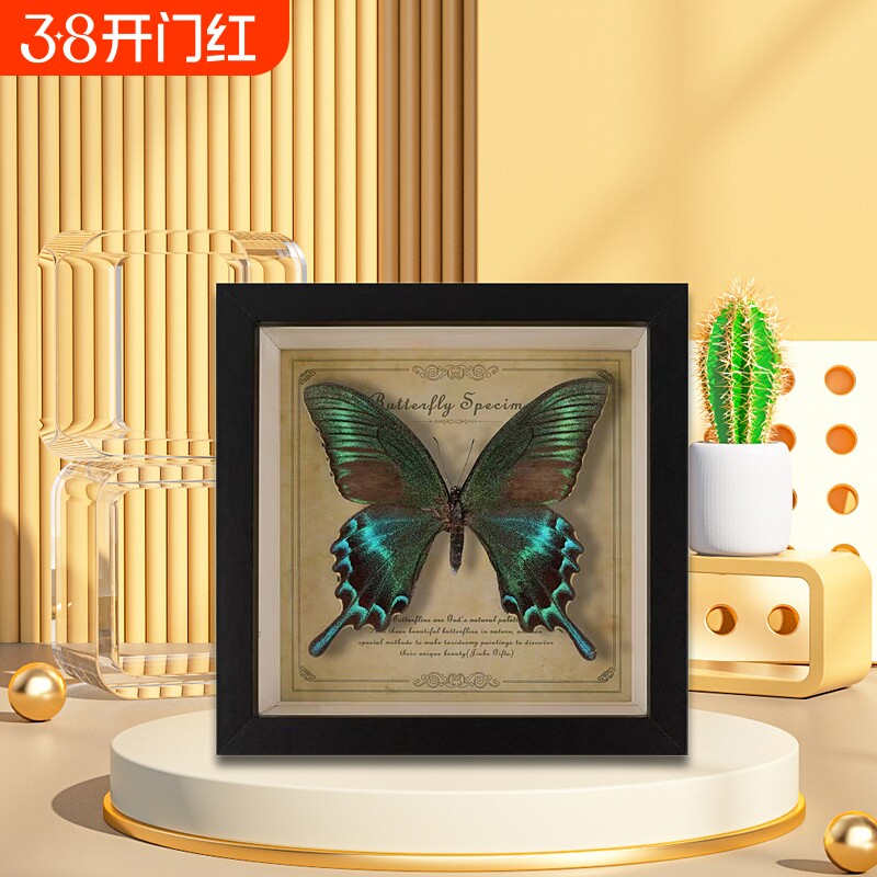 罕见蝴蝶标本摆件展示框相框艺术品装饰画教师礼物成品真蝴蝶原蝶