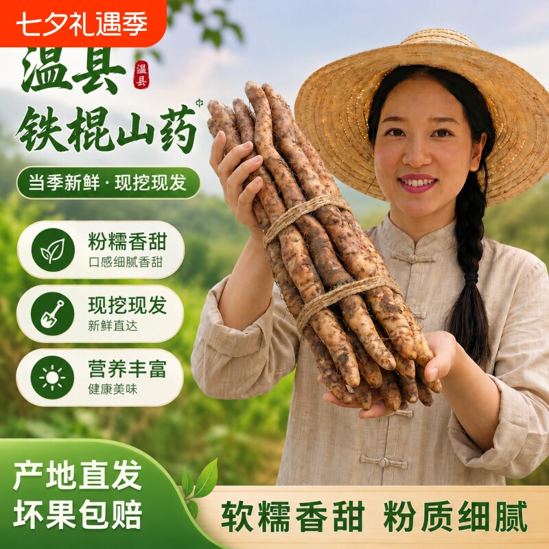 2026年正宗河南焦作温县垆土铁棍山药新鲜淮怀山农家蔬菜早餐红枣