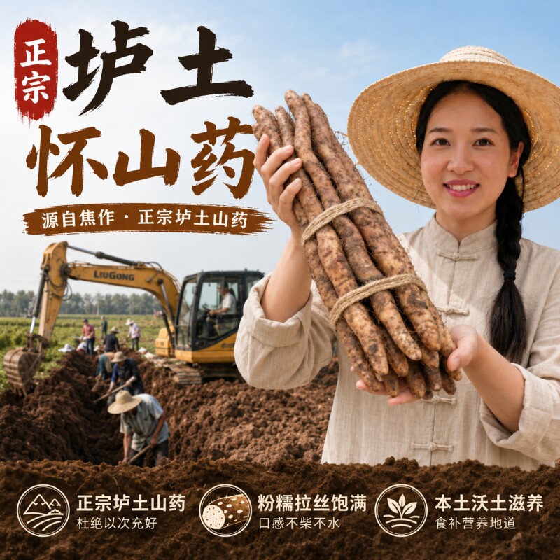 怀辅堂温县垆土铁棍山药河南焦作特产怀山药淮山药新鲜蔬菜采挖