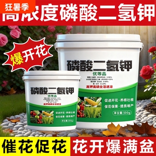 磷酸二氢钾肥料花卉专用正品农用养植物盆栽磷钾肥叶面肥蔬菜家用