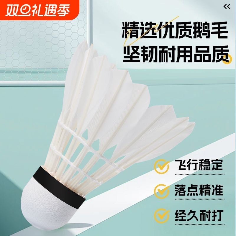 羽毛球12只6个装正品耐打王稳定羽毛球白色室外学习训练比赛用球