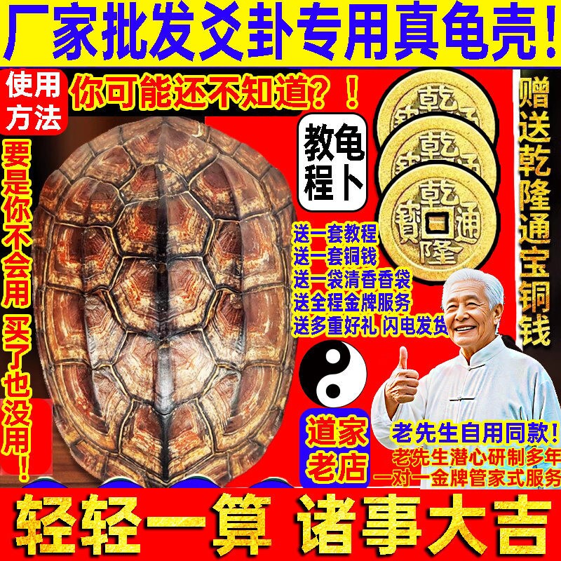 天然乌龟壳真龟甲文玩摇六爻乾隆通宝铜钱打算手把件八卦工具摆件