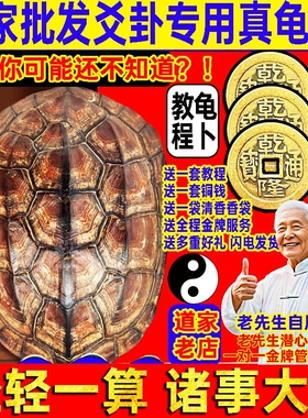 天然乌龟壳真龟甲文玩摇六爻乾隆