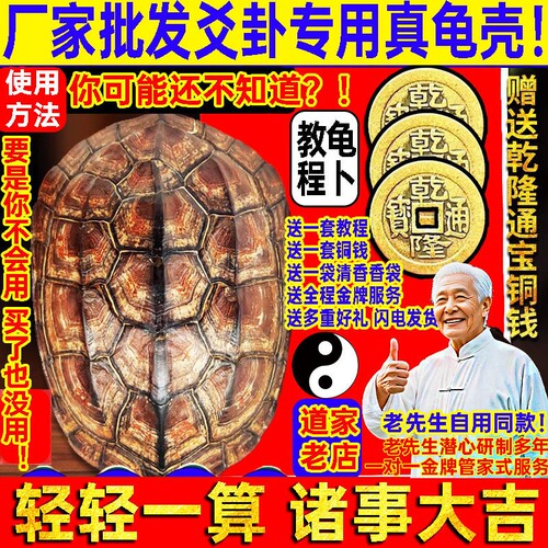 天然乌龟壳真龟甲文玩摇六爻乾隆