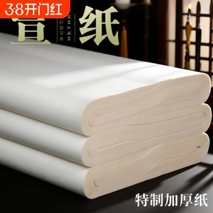 宣纸书法专用纸生宣纸生宣熟宣熟宣纸半生熟半生半熟毛边纸练字套装作品纸山水画对开整张练习国画四尺六尺