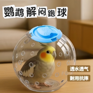 鹦鹉玩具跑球解闷自嗨小太阳解压牡丹虎皮走球啃咬滚球训练鸟类