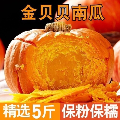 金贝贝南瓜正宗板栗味新鲜蒸煮粉糯婴儿宝宝辅食红皮小南瓜回购