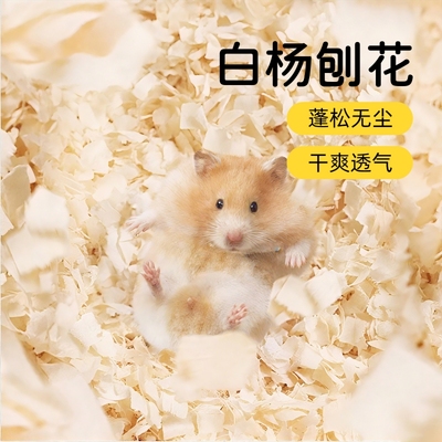 金丝熊刨花仓鼠木屑垫料纸棉无尘造景专用木片白杨木夏用品小方