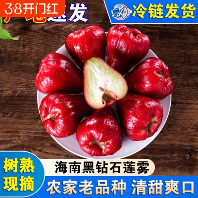 海南黑钻石莲雾新鲜莲雾果三亚特产水果红宝石脆甜爽口农家种植