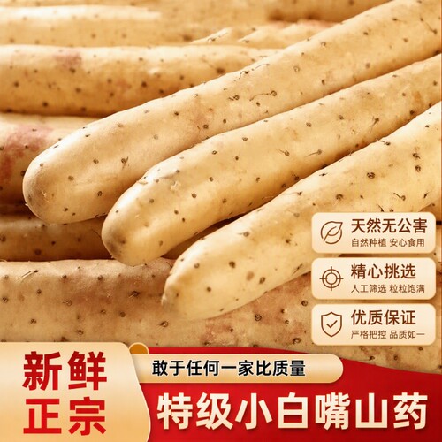 正宗铁棍山药5斤|超2000次加购