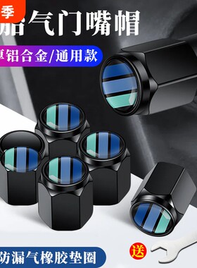 防盗气嘴帽黑色|超2000次加购