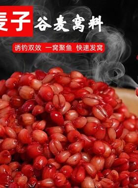 谷麦窝料钓鱼打窝饵料鱼食挂钩红虫麦粒野钓腥香发酵鲫鱼鲤鱼麦子