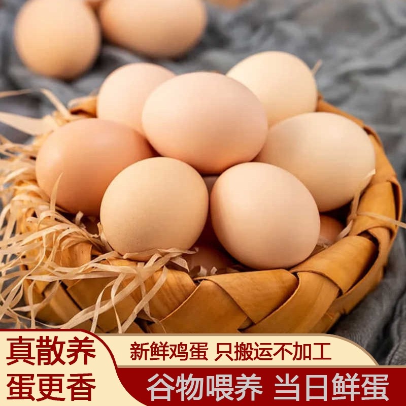 土鸡蛋正宗散养柴鸡蛋新鲜土鸡蛋农家谷物月子虫草鸡蛋40g±5g/