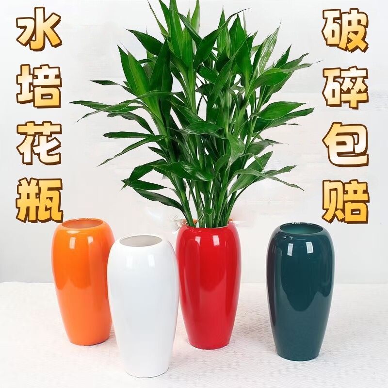 水培花瓶银柳富贵竹雪柳专用干花鲜花冬青仿陶大客厅干枝插花摆件