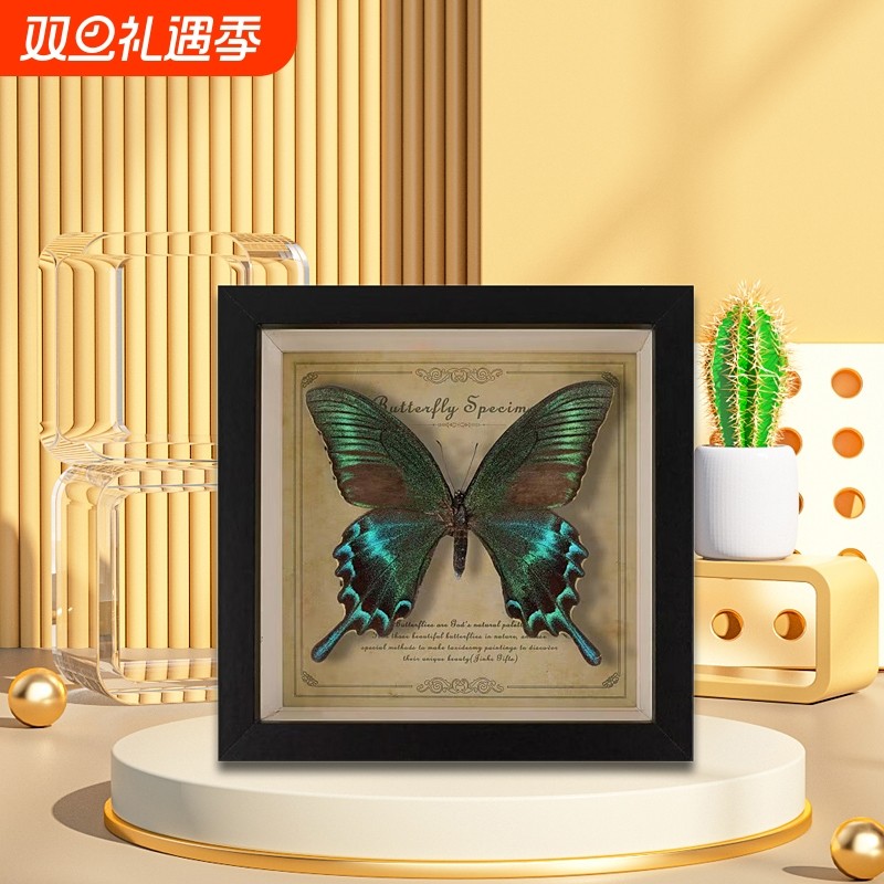 罕见蝴蝶标本摆件展示框相框艺术品装饰画教师礼物成品真蝴蝶原蝶