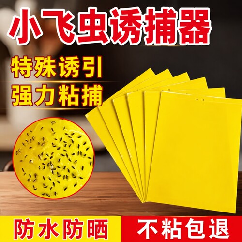 双面诱虫板强力|超8000次加购