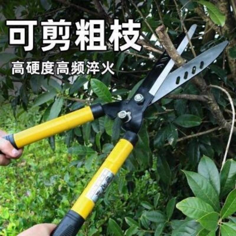 园艺园林果树剪刀修剪树枝盆栽神器家用绿化剪刀枝修剪刀专用工具