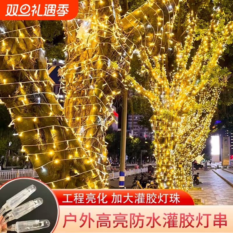 LED超亮高防水加粗加大灌胶灯串灯满天星装饰街道绕树亮化彩灯串
