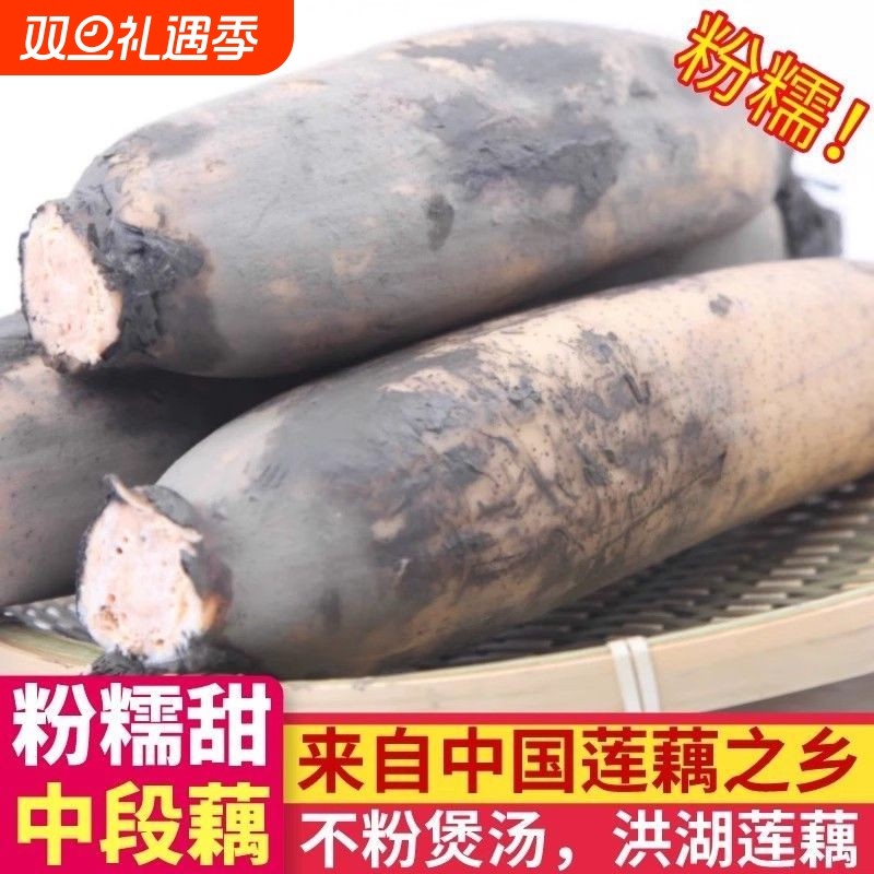 湖北正宗洪湖粉藕莲藕新鲜煲汤粉藕红藕粉糯米藕现挖现发火锅食材