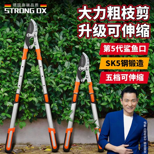 德国果树修枝强力粗枝剪省力修剪