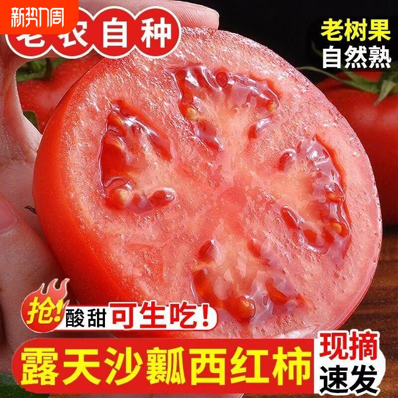 自然熟云南沙瓤西红柿新鲜云南露天种植番茄大果粉柿子酸甜可生吃