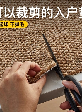 入户门剑麻地垫地毯2025新款仿防滑进门口门外脚垫可裁剪门垫入门
