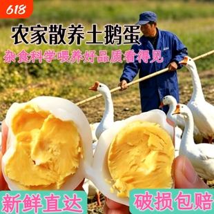 农家散养新鲜大鹅蛋正宗鹅蛋孕妇宝宝辅食孕妇健康餐食营养土鹅蛋