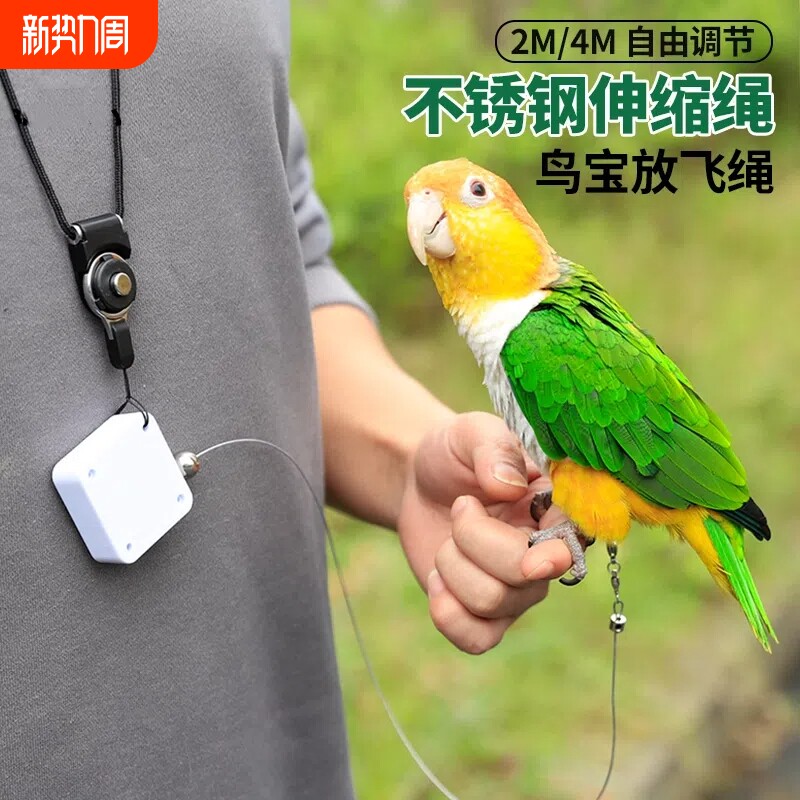 鹦鹉放飞绳虎皮牡丹玄凤自动伸缩遛鸟绳外出飞行小鸟不伤脚牵引绳