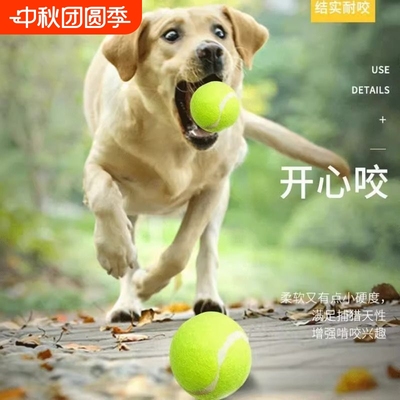 狗狗玩具球金毛弹力球耐咬磨牙网球宠物幼犬拉布拉多小狗训练橡胶
