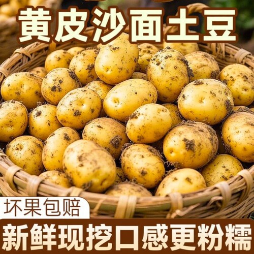 黄心土豆新鲜2026现挖黄皮新鲜现挖大个整箱大果粉糯农家自种