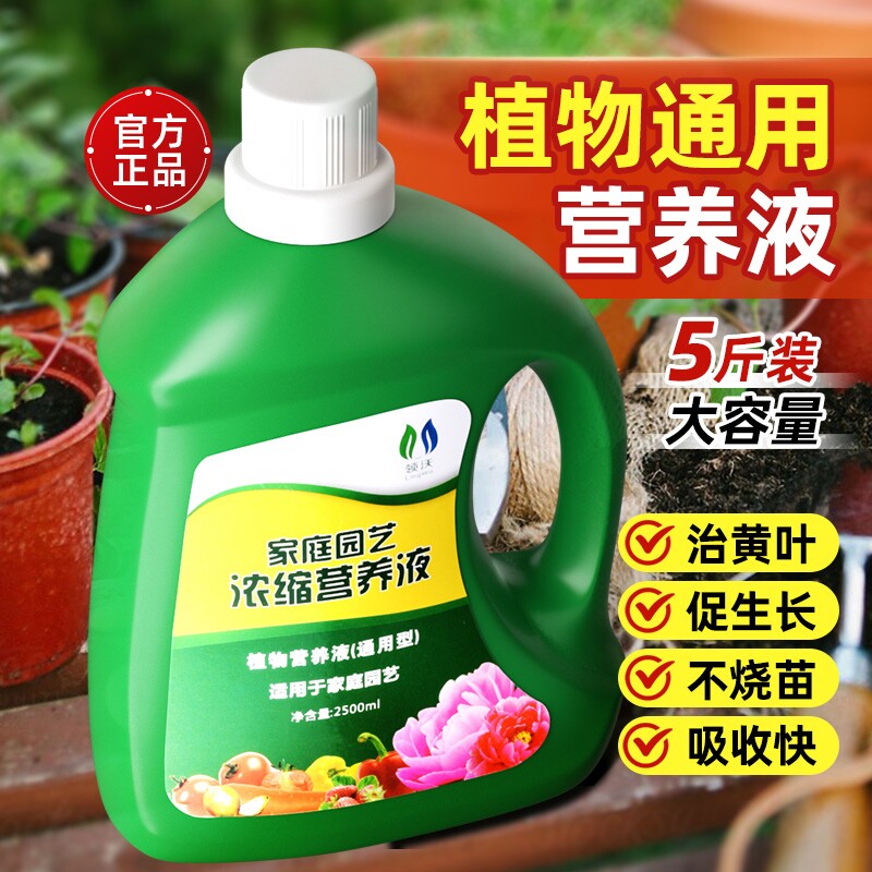 营养液植物通用型绿萝富贵竹发财树水培养花卉绿植盆栽花肥料鲜花
