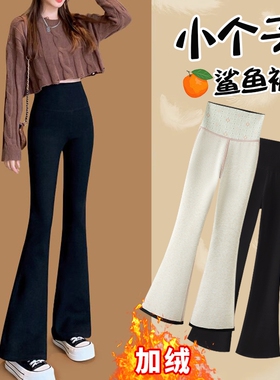 鲨鱼裤145cm喇叭裤女小个子微喇2025新款秋冬加绒高腰显瘦瑜伽裤