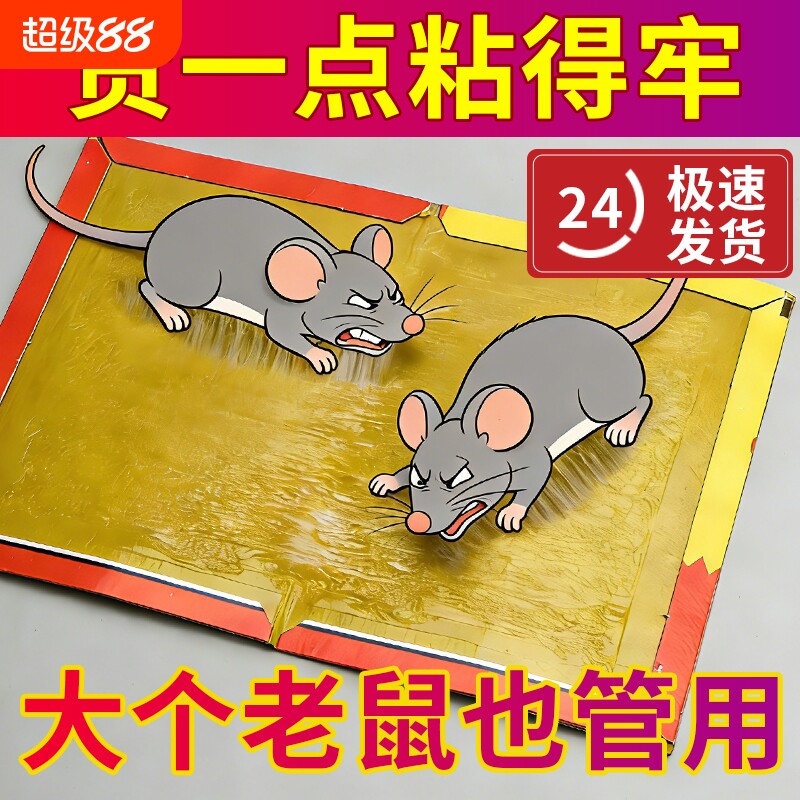 老鼠粘强力粘鼠板胶抓大老鼠贴家用捕鼠神器抓耗子贴非药夹扑捉器