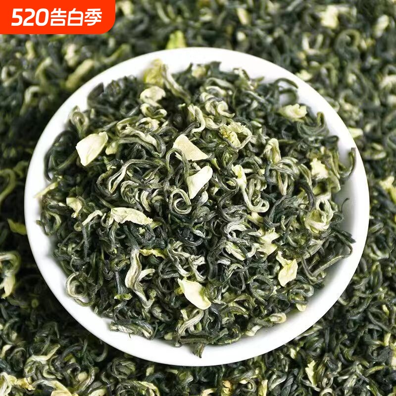 特级茉莉飘雪2026新茶头采浓香型川派广西横县毛尖袋装绿茶冷泡