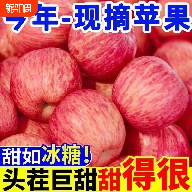 爆甜】正宗冰糖心红富士新鲜苹果直发当季新鲜水果批发价团购