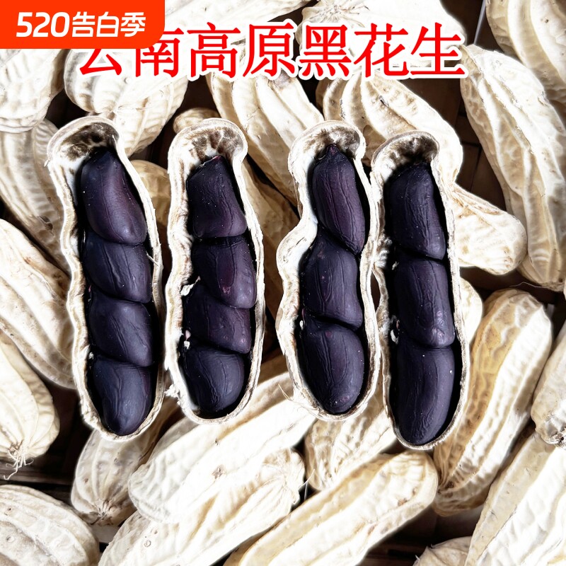 云南黑花生新鲜带壳大粒生黑花生甜晒干带壳富硒黑花生黑皮花生