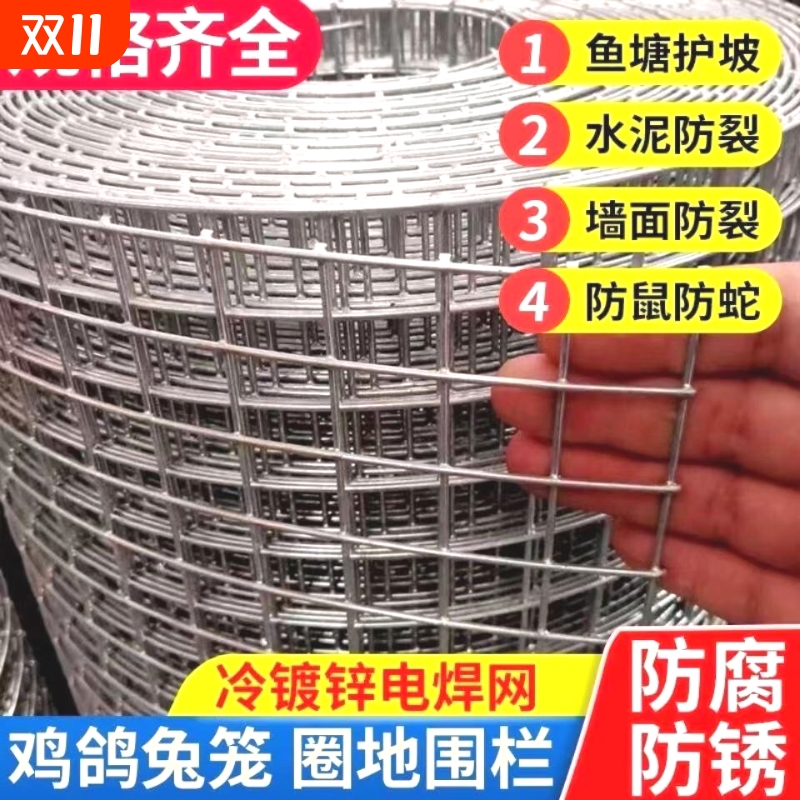 养殖网铁丝网加粗拦鸡养鸡防鼠网格围栏钢丝墙面防护防裂狗笼防锈