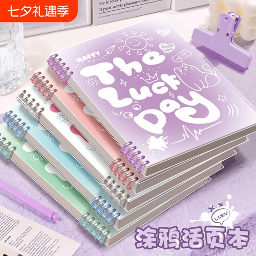 B5活页加厚笔记本|千人回购