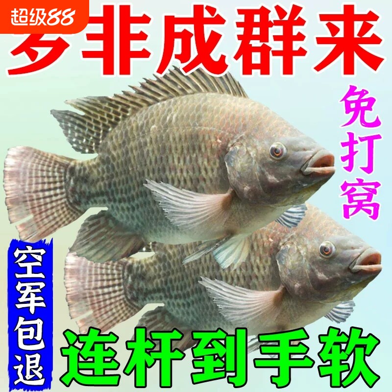 罗非专用饵料池塘湖泊野钓罗非饵图片