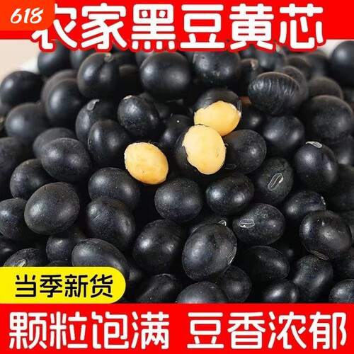 农家黄芯黑豆营养丰富豆味浓香颗粒圆润大小均匀五谷杂粮当季新货