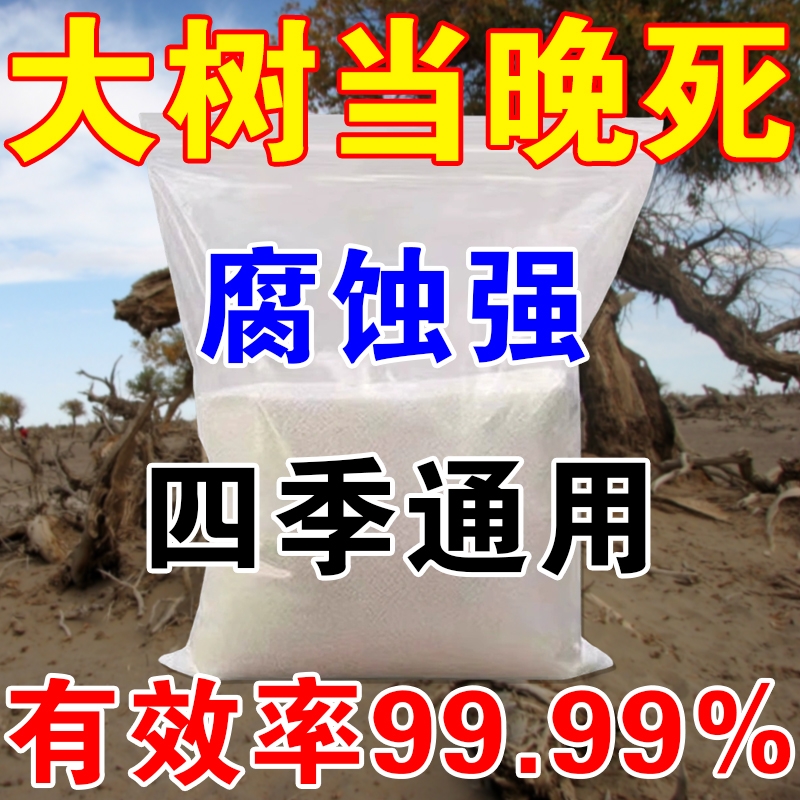 烂根除大树专用药强力腐树根枯树王树枯死竹子烂根剂S树木杨树