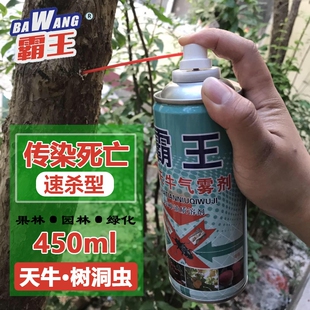 天牛克星树洞虫气雾剂苹果树钻心蛀虫一扫光幼虫专用药杀虫剂喷雾
