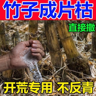 除烂根竹子专用药竹根连根除杂草大树强力腐竹根烂根剂专用粉剂J