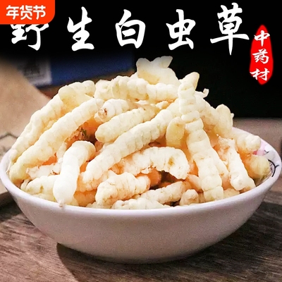 野生草石蚕地蚕材500克云南土冬虫草白虫草泽兰根地参虫草参